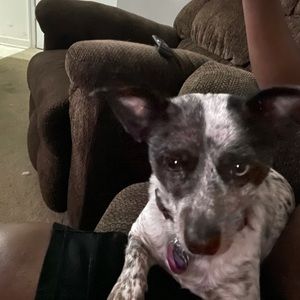 Meet your Posher, Marcus